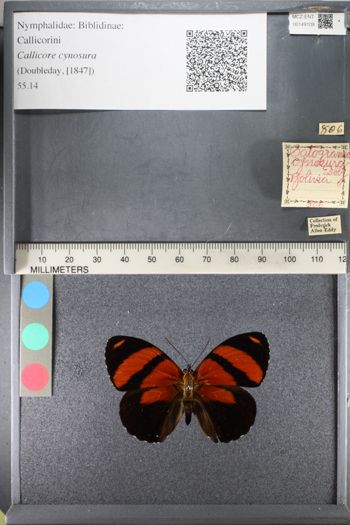 Media type: image;   Entomology 149109
